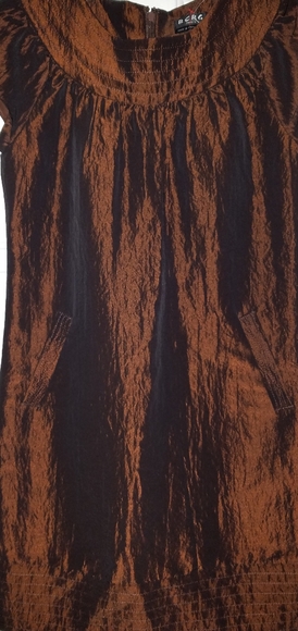 NEW BCBG PARIS BRONZE METALLIC DRESS (Size 2) - Picture 3 of 8